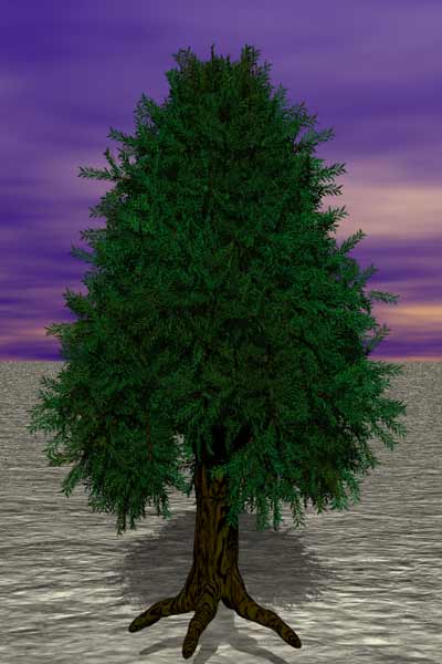 Tree 33